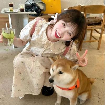 摩登50